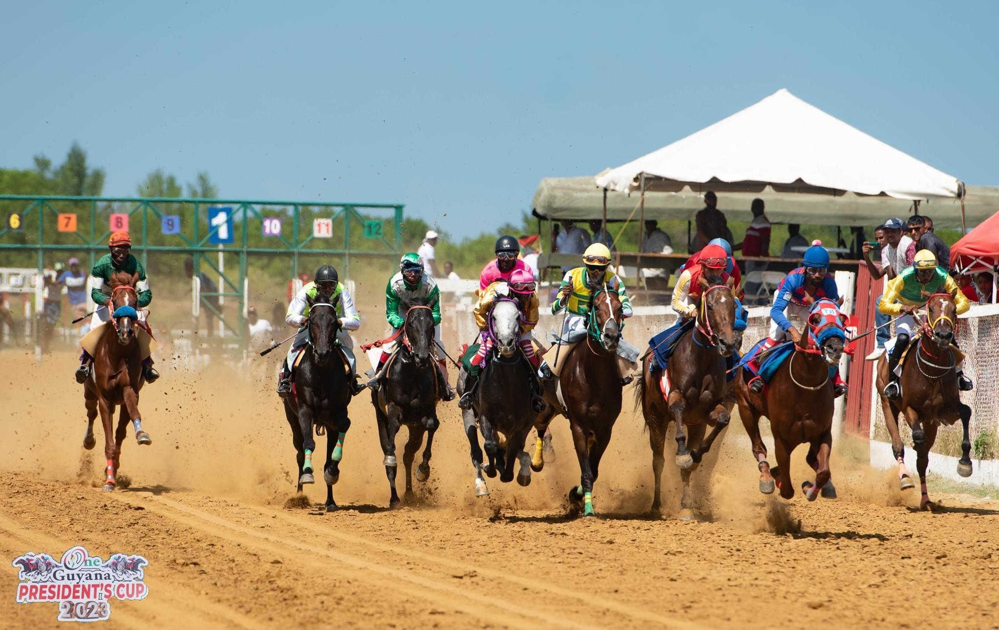 Nine races on the provisional programs for the 2024 President’s Cup