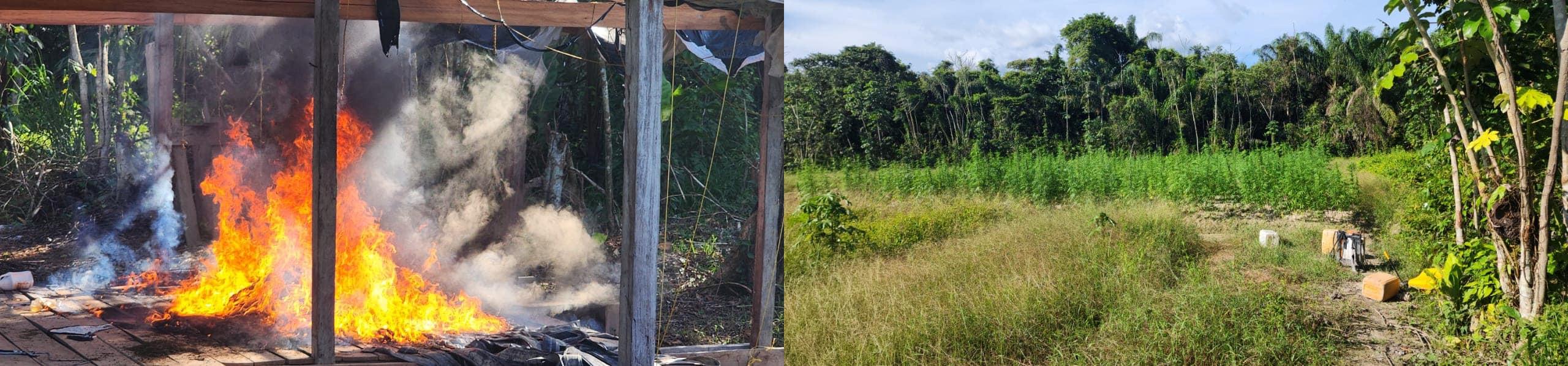 The ganja farm going up in flames