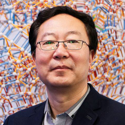 Professor Li Wei