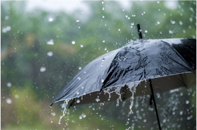 Forecast calls for up to 25mm of rainfall today