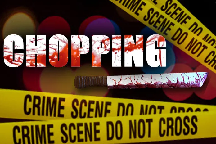 Victoria man chopped to death by brother