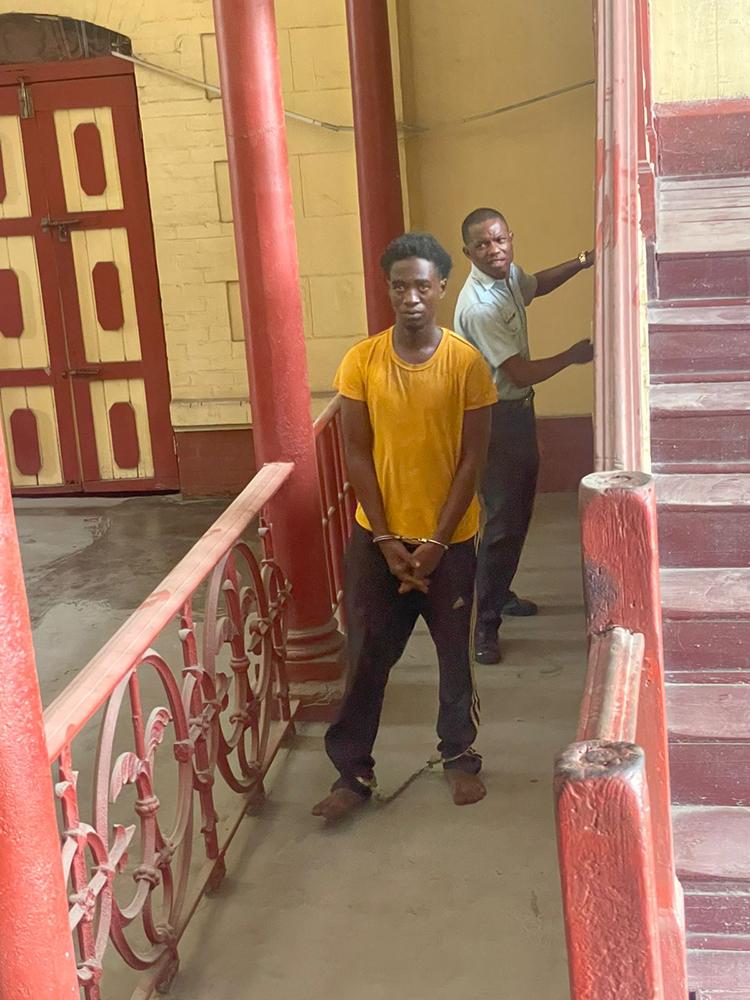 Chain snatcher tells court, ‘I’m a Dr. Harry patient’