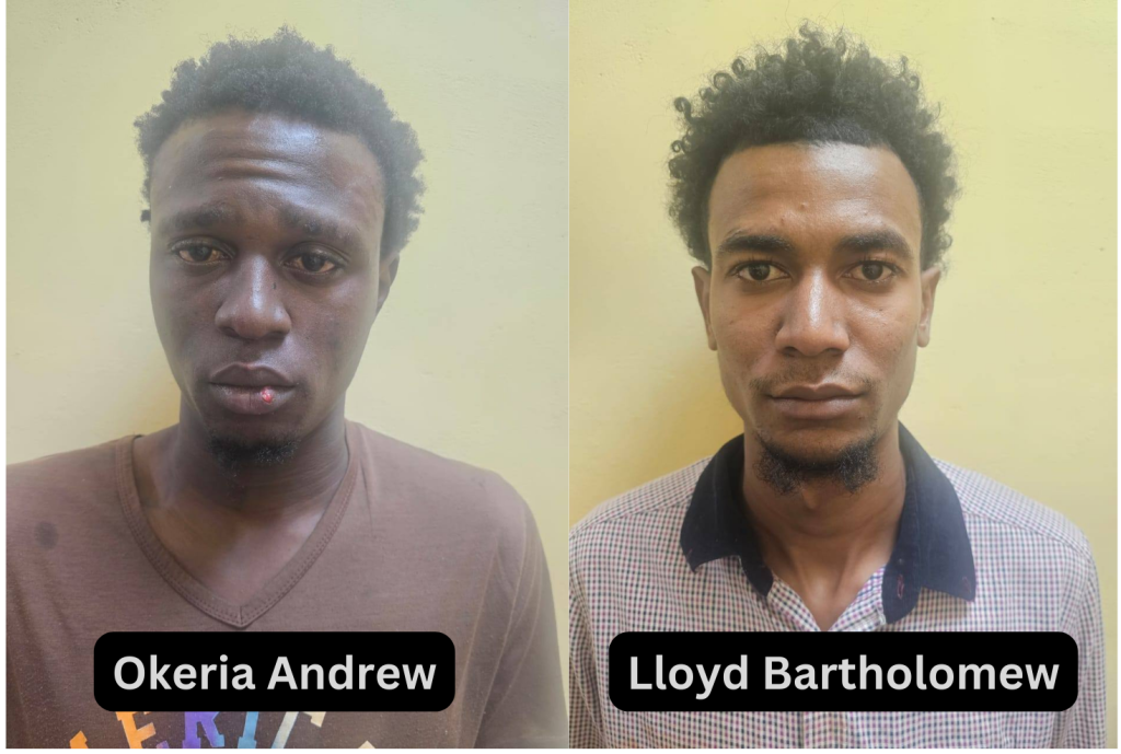 Duo jailed for break and enter and larceny