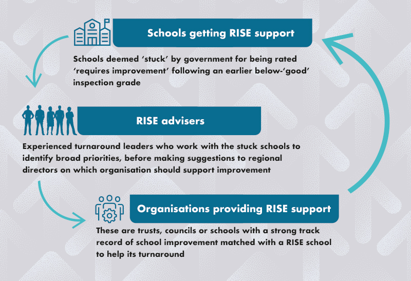 RiseorgsupportGraphicinset800px | Schools Week