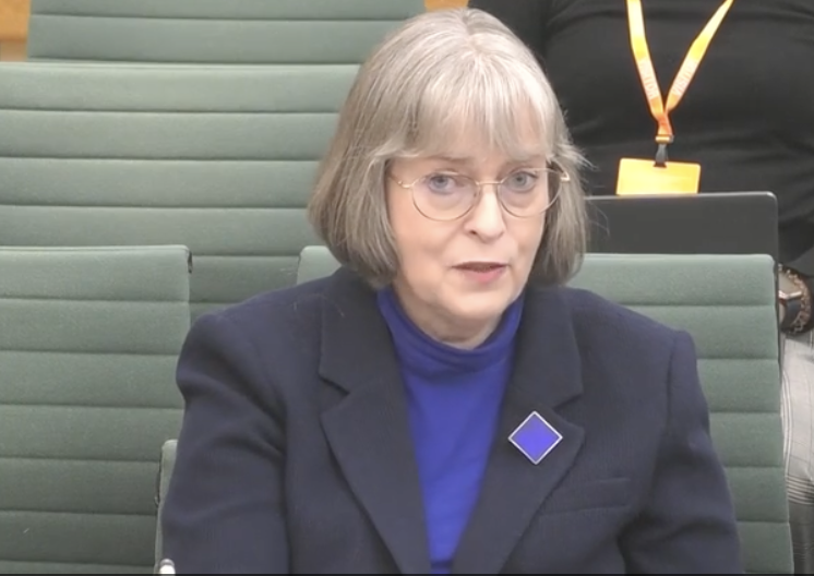 Screenshot 20251111 at 135030 | Schools Week Professor Eva Lloyd