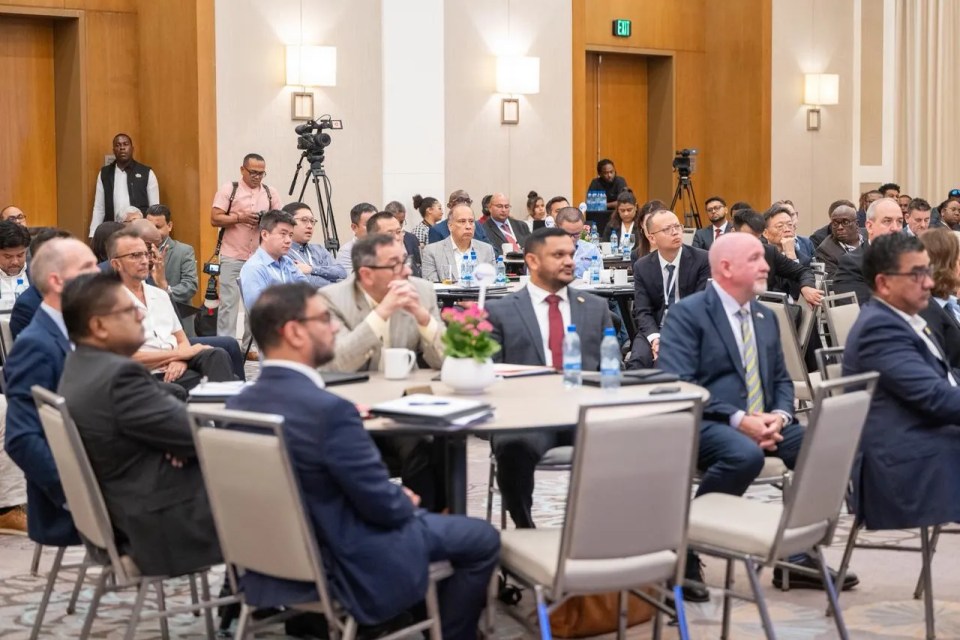 Pres. Ali vows gas boom by 2030